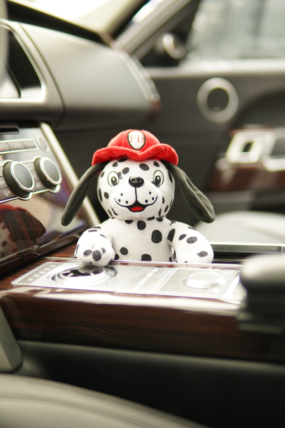 Dave the Firefighter Dalmatian